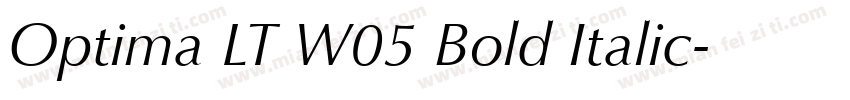 Optima LT W05 Bold Italic字体转换